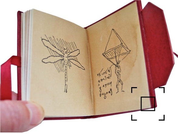 Inside back covers showing dragonfly and parachute, after Leonardo.